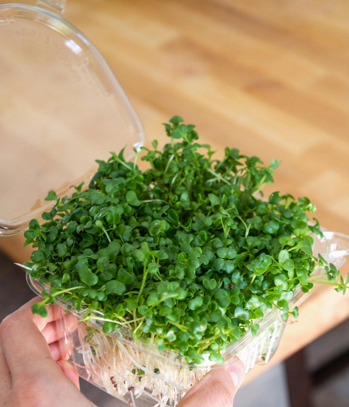 Fresh organic microgreens and herbs in wooden crate