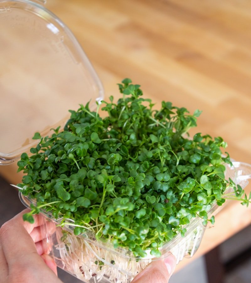 Hands holding fresh organic herbs and microgreens